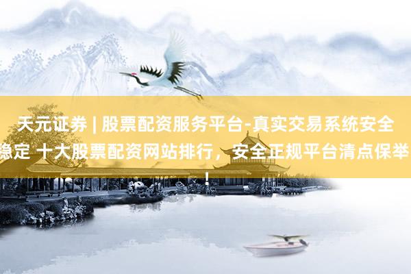 天元证券 | 股票配资服务平台-真实交易系统安全稳定 十大股票配资网站排行，安全正规平台清点保举！