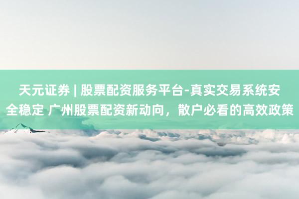 天元证券 | 股票配资服务平台-真实交易系统安全稳定 广州股票配资新动向，散户必看的高效政策