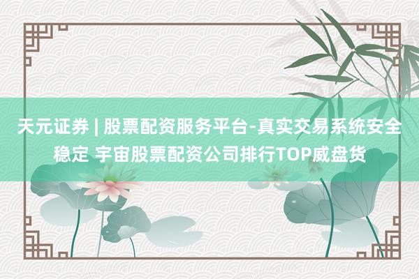 天元证券 | 股票配资服务平台-真实交易系统安全稳定 宇宙股票配资公司排行TOP威盘货