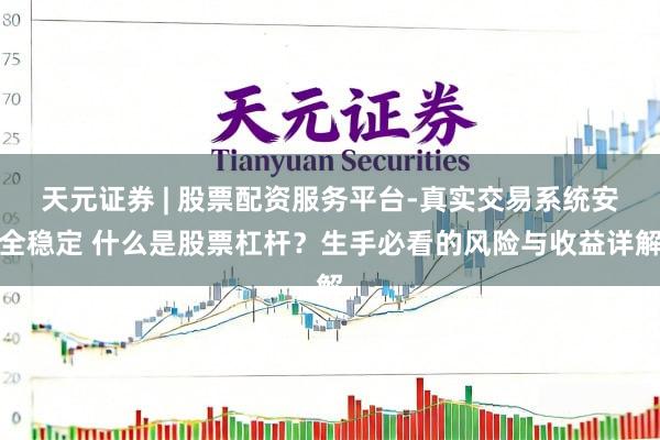 天元证券 | 股票配资服务平台-真实交易系统安全稳定 什么是股票杠杆？生手必看的风险与收益详解