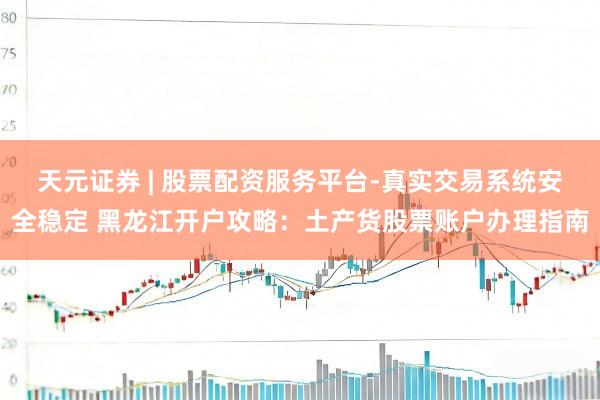 天元证券 | 股票配资服务平台-真实交易系统安全稳定 黑龙江开户攻略：土产货股票账户办理指南